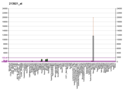 PBB GE SST 213921 at fs.png