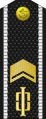 Russia-Navy-OR-8-1994-everyday.svg