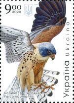 Stamp of Ukraine s1853.jpg