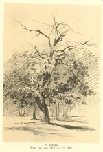 Taras Shevchenko painting 2079.jpg