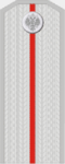 Есаул (чин).png