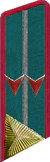 петлица 1936