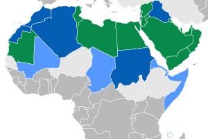 мусерпас