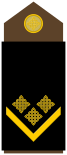 Army-HRV-OR-06.svg