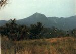 Belirang-Beriti.jpg
