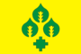 Flag of Anastasovskoe rural settlement.png