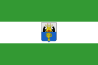 Flag of Demyansky rayon (Novgorod oblast) (2005-07).png