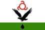 Flag of Malgobek (Ingushetia).png