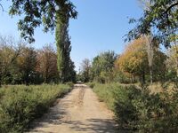 Kalinina Str., Melitopol, Zaporizhia Oblast, Ukraine 4.JPG