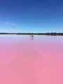 Picture of Pink Lake.jpg