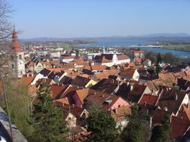 Ptuj from the castle.JPG