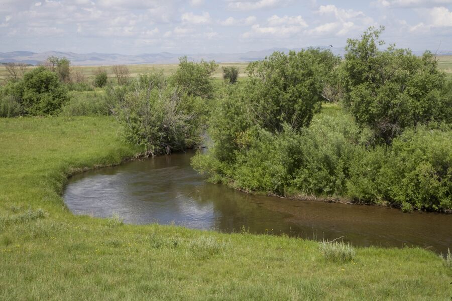RiverNinay.jpg