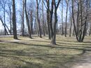 SanktPeterburg2013 0008.JPG
