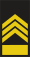 Slovenia-Navy-OR-9b.svg