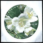 Stamp of Ukraine s1815.jpg