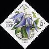 Почтовая марка СССР № 5195. 1981. Цветы украинских Карпат.jpg