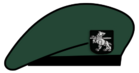 Berete GV.png