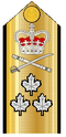 Canadian Vice-Admiral Shoulder Board.png