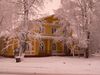 Druzhinin House in winter.jpg