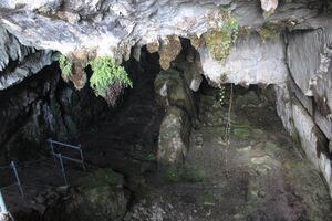 El Pindal interior 1.JPG