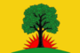 Flag of Pavlovskoe (Ryazan oblast).png
