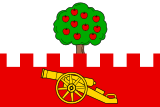 Флаг