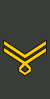 Georgia-Army-OR-9a.svg
