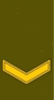 LT-Army-OR4.gif