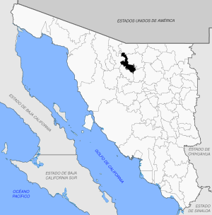 Magdalena en Sonora.svg