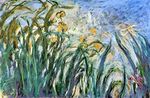 Monet - yellow-irises-and-malva-1917.jpg