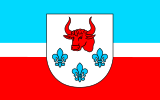 Флаг