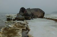 Ольгинские гранитные валуны на берегу Невской Губы.jpg
