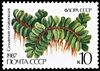 Почтовая марка СССР № 5848. 1987. Флора СССР. Папортники.jpg