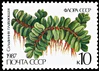 Почтовая марка СССР № 5848. 1987. Флора СССР. Папортники.jpg