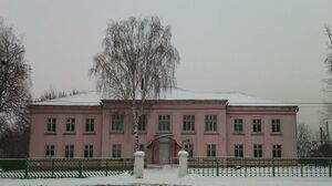 Тумская больница.jpg