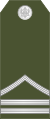 06-Montenegro Army-SSG.svg