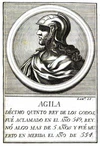 15-AGILA.JPG