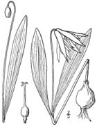 Erme15 001 pvd.jpg