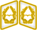 Luftwaffe collar tabs Generalmajor 3D.svg