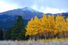 Mount silverheels.jpg