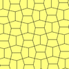 P5-type4 p4g.png