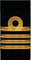 RN F6st.leutenant 1917 cuff.jpg
