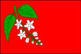 Флаг