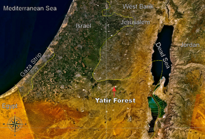 Yatir Forest, Israel - Location.png