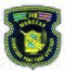 740 Brigade Insignia.jpg