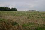 Great Hormead Park Woods - geograph.org.uk - 579536.jpg