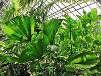 Kraków - ogród botaniczny.....;.jpg