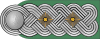 ORPO-Oberst h.svg