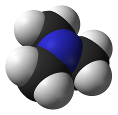 Trimethylamine-3D-vdW.png