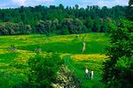Tringpark00106.jpg